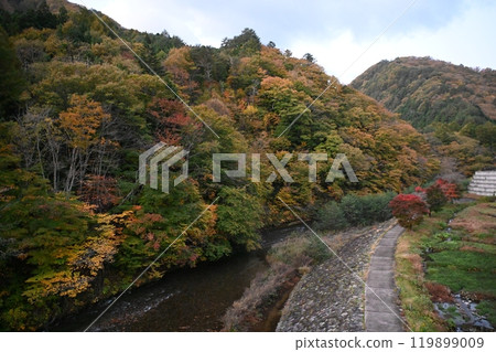 Mountain scenery from Mizunosato Suspension Bridge over the Yunishi River in Nikko, Tochigi Prefecture 119899009
