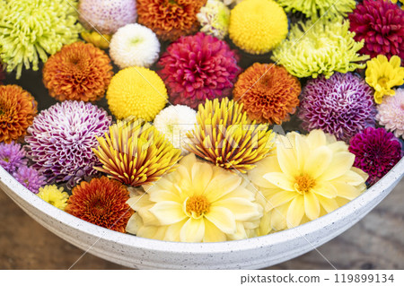 活力花手水（菊花手水） 山形縣南陽市 119899134