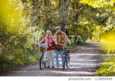 Lovely elderly couple on a walk in the forest, pushing their bikes side by side. Seniors in love on stroll through autumn nature, enjoying a peaceful moment together. Lovely elderly couple on a walk in the forest, pushing their bikes side by side. Seniors in love on stroll through autumn nature, enjoying a peaceful moment together. 119899409