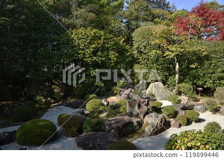 Myoshinji Temple subtemple, Taizoin, Motonobu Garden [Scenic spot and historic site garden] 119899446