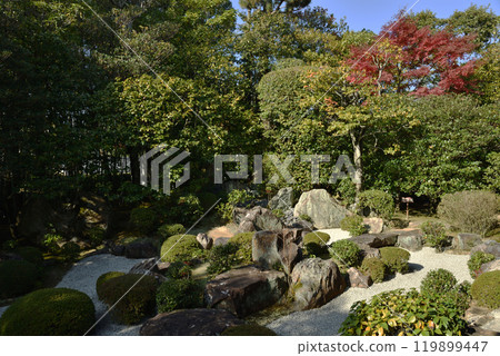 妙心寺分院、退藏院、元宣庭園【名勝庭園】 妙心寺分院、退藏院、元宣庭園【名勝庭園】 119899447