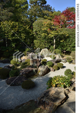 妙心寺分院、退藏院、元宣庭園【名勝庭園】 妙心寺分院、退藏院、元宣庭園【名勝庭園】 119899448