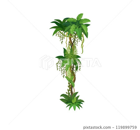 Jungle forest vertical liana, vine branch. Amazon rain forest jungle vine twig isolated cartoon vector floral line, African jungle creeper plant or tropical rainforest nature liana botanical border Jungle forest vertical liana, vine branch. Amazon rain forest jungle vine twig isolated cartoon vector floral line, African jungle creeper plant or tropical rainforest nature liana botanical border 119899759