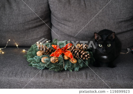 Black cat sitting next to Christmas wreath with pinecones and red bow on a couch. Cozy pet-friendly holiday decor and Christmas comfort. 119899923