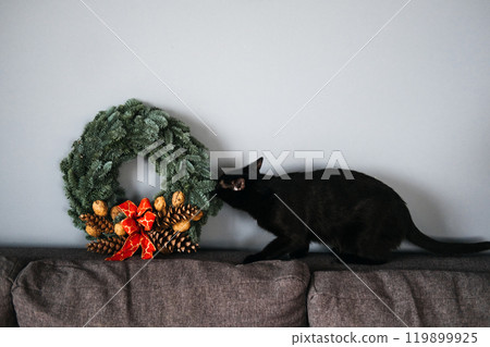 Black cat inspecting a Christmas wreath with fairy lights on a couch. Holiday pet safety, festive decor, and cozy home environment. 119899925