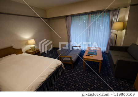 Resort hotel room Twin room Resort hotel room Twin room 119900109