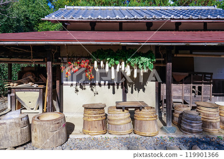 陽光明媚的屋簷下掛著乾菜(東京世田谷區) 陽光明媚的屋簷下掛著乾菜(東京世田谷區) 119901366