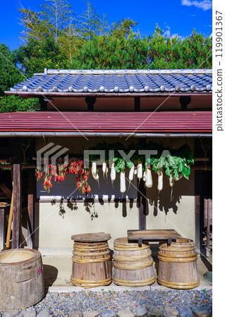 Dried vegetables hanging under a sunny eaves (Setagaya, Tokyo) 119901367