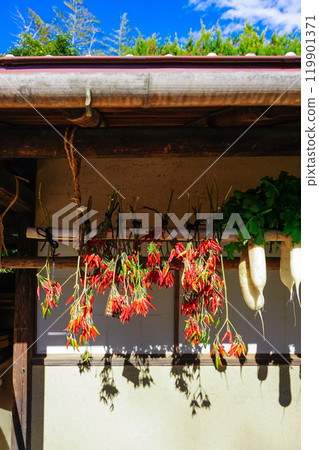 Dried vegetables hanging under a sunny eaves (Setagaya, Tokyo) 119901371