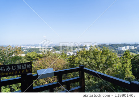 從紅葉展望台（七澤森林公園）眺望的景色 119901403