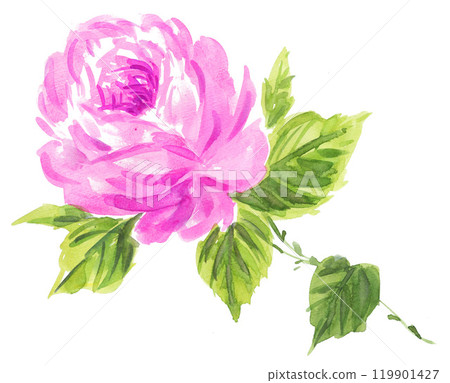 粉紅玫瑰畫水彩 241104pix7 粉紅玫瑰畫水彩 241104pix7 119901427