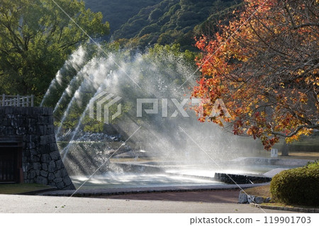 Autumn leaves of Kikko Park 119901703