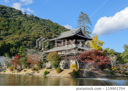 Autumn leaves of Kikko Park 119901704