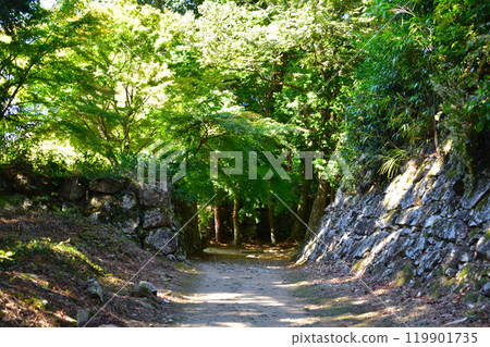 Azuchi Castle: The path leading up to the castle 119901735