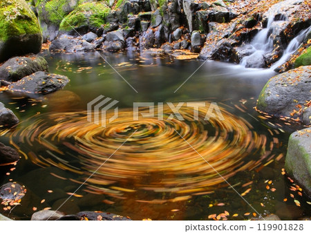 秋天的菊池溪谷（菊池市） 119901828