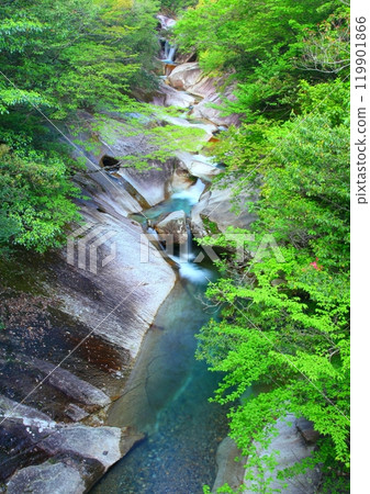 新鮮綠色的富士河內山谷（佐伯市，垂直構圖） 119901866