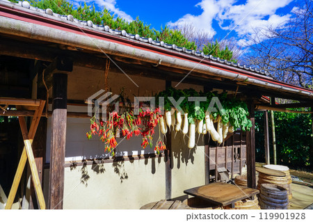 陽光明媚的屋簷下掛著乾菜(東京世田谷區) 陽光明媚的屋簷下掛著乾菜(東京世田谷區) 119901928