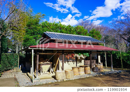陽光明媚的屋簷下掛著乾菜(東京世田谷區) 陽光明媚的屋簷下掛著乾菜(東京世田谷區) 119901934
