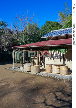 陽光明媚的屋簷下掛著乾菜(東京世田谷區) 陽光明媚的屋簷下掛著乾菜(東京世田谷區) 119901937