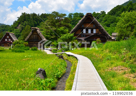 Summer Shirakawa-go 119902036