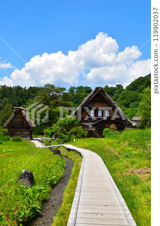 Summer Shirakawa-go Summer Shirakawa-go 119902037