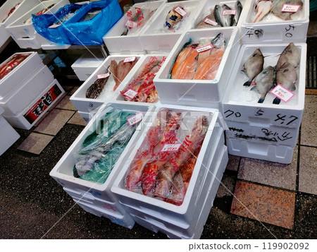 近江市販售的魚 119902092