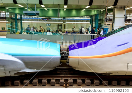 The coupling section between the E5 series Yamabiko and the E8 series Tsubasa The coupling section between the E5 series Yamabiko and the E8 series Tsubasa 119902103