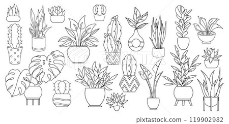 House plants set. Flower pot, black houseplant like home monstera, cactus or simple tropical exotic succulent garden, line isolated elements. Coloring book. Vector isolated design objects 119902982