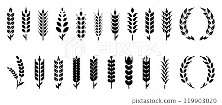 Wheat logo. Barley spike. Corn icon. Grain spikelet. Sheaf bread. Field with straw or branch. Rye beer. Cereal crop. Black silhouette seeds. Vector agriculture harvest isolated symbols set 119903020