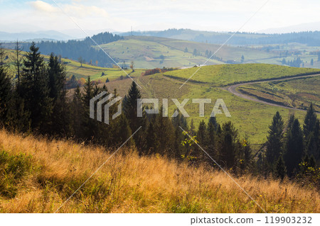 mountainous countryside of ukraine in autumn. rural scenery on a sunny morning. grassy pasture on the hill. fall season. sustainable green environment mountainous countryside of ukraine in autumn. rural scenery on a sunny morning. grassy pasture on the hill. fall season. sustainable green environment 119903232