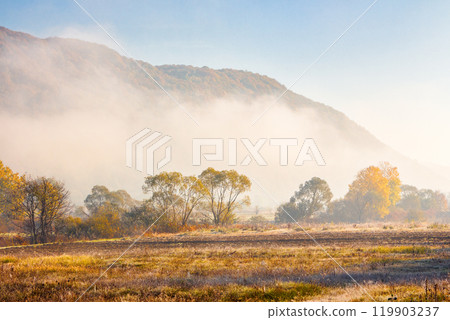 countryside landscape in autumn fog. sunny morning. beautiful scenery in carpathian valley. colorful trees in mist. grassy fields in fall season countryside landscape in autumn fog. sunny morning. beautiful scenery in carpathian valley. colorful trees in mist. grassy fields in fall season 119903237