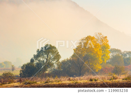 countryside landscape in autumn fog. rural europe. sunny morning. beautiful scenery in carpathian valley. colorful trees in mist. grassy fields in fall season. momiji harmony countryside landscape in autumn fog. rural europe. sunny morning. beautiful scenery in carpathian valley. colorful trees in mist. grassy fields in fall season. momiji harmony 119903238