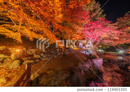 "Aomori Prefecture" Nango Cuckoo Forest, autumn leaves illuminated, Hachinohe City 119903305