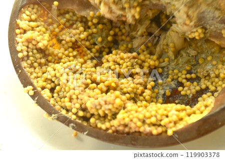 spicy and sour sea horseshoe crab egg wiith slice vegetable salad Thai food on plate spicy and sour sea horseshoe crab egg wiith slice vegetable salad Thai food on plate 119903378