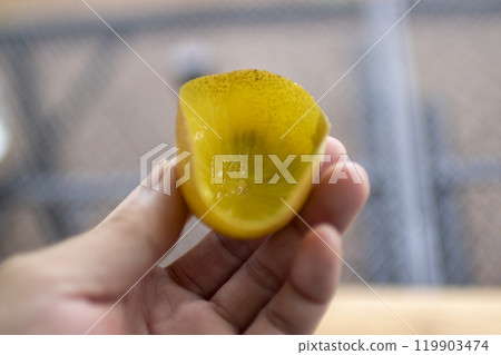 Kiwi fruit hollowed out with a spoon Kiwi fruit hollowed out with a spoon 119903474