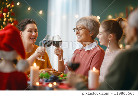 family celebrating Christmas 119903565