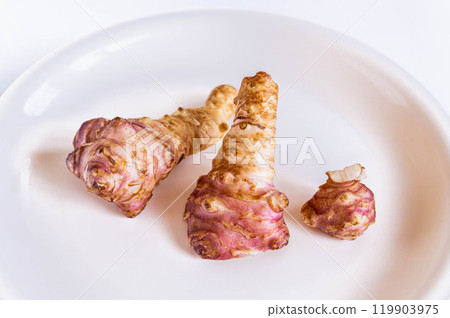 收穫的菊芋 收穫的菊芋 119903975