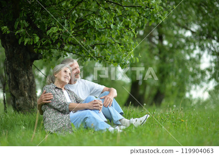 Portrait of senior couple sitting on the grass in the park 119904063