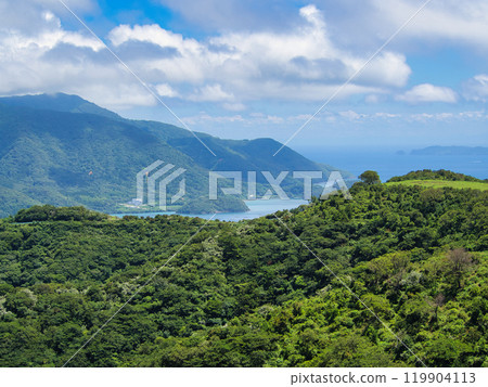 Majestic Sea (Oki Island, Shimane Prefecture) 119904113