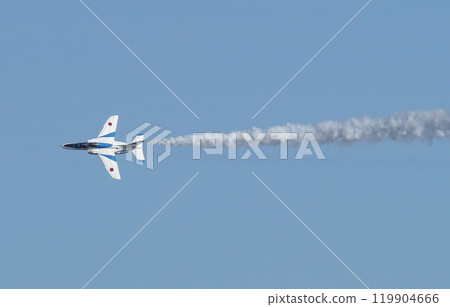 Iruma Station Air Festival 119904666