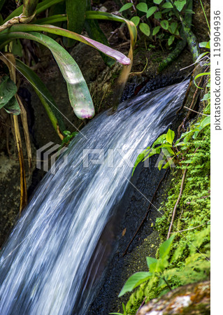 Small waterfall and vegetation 119904936