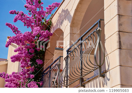 Residential house with balcony and flowers growing on facade 119905083