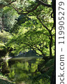 Forest landscape 119905279