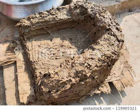 making a new soil stove by mud. Rural kitchen. Traditional stoves used by residents in rural India, pakistan, Bangladesh, nepal, afganistan, Sri Lanka and undeveloped countries. made of clay, fueled 119905321