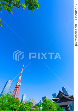 [Tokyo] May: Visit the fresh greenery of Shiba Park and Tokyo Tower 119905467