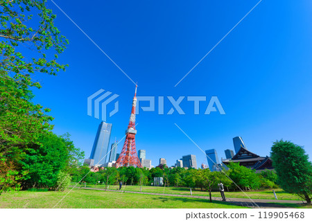 [Tokyo] May: Visit the fresh greenery of Shiba Park and Tokyo Tower 119905468