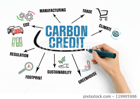 Carbon Credit Concept. Chart with keywords and icons on white background 119905986