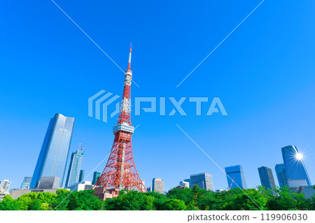 【東京】5月：遊覽新綠色的芝公園和東京鐵塔 119906030