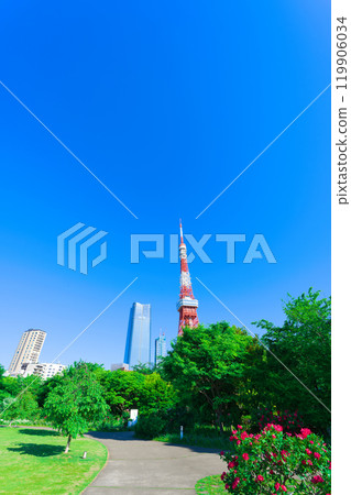 【東京】5月：遊覽新綠色的芝公園和東京鐵塔 119906034