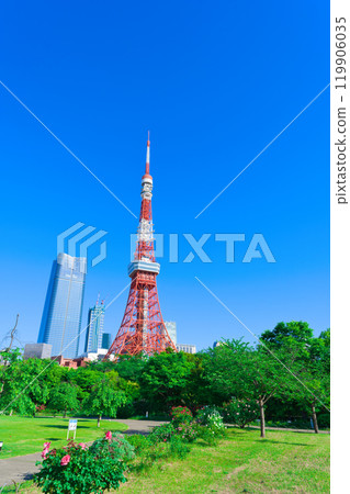 【東京】5月：遊覽新綠色的芝公園和東京鐵塔 119906035